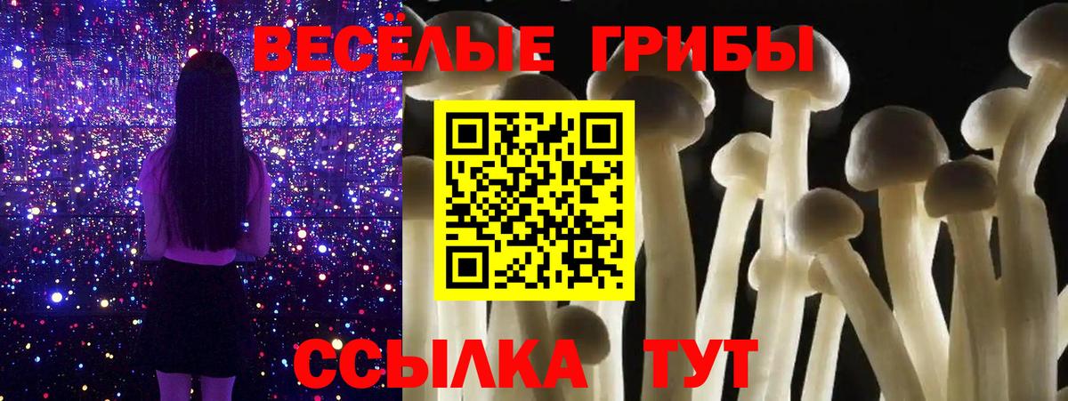 Галлюциногенные грибы прущие грибы Менделеевск