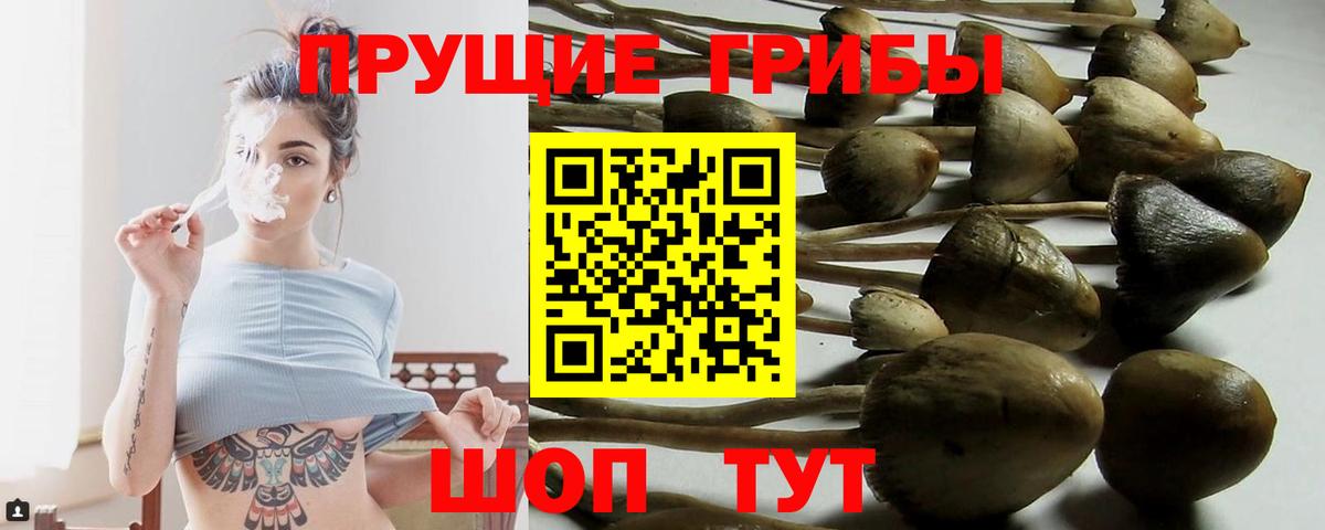 Псилоцибиновые грибы ЛСД  Вход с VPN  Псилоцибиновые грибы мухоморы  Менделеевск 